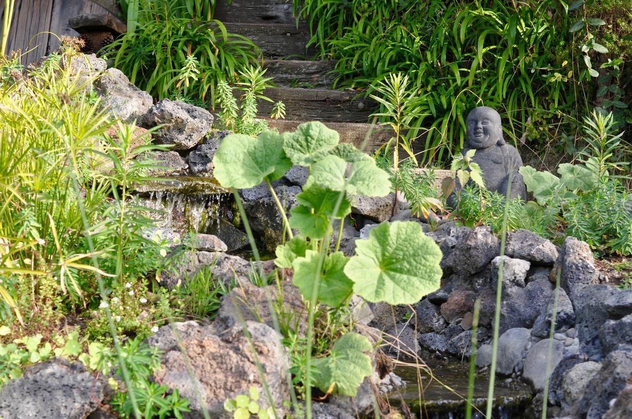 Hotel Kawai Purapura Yoga Retreat Centre Auckland Exterior foto